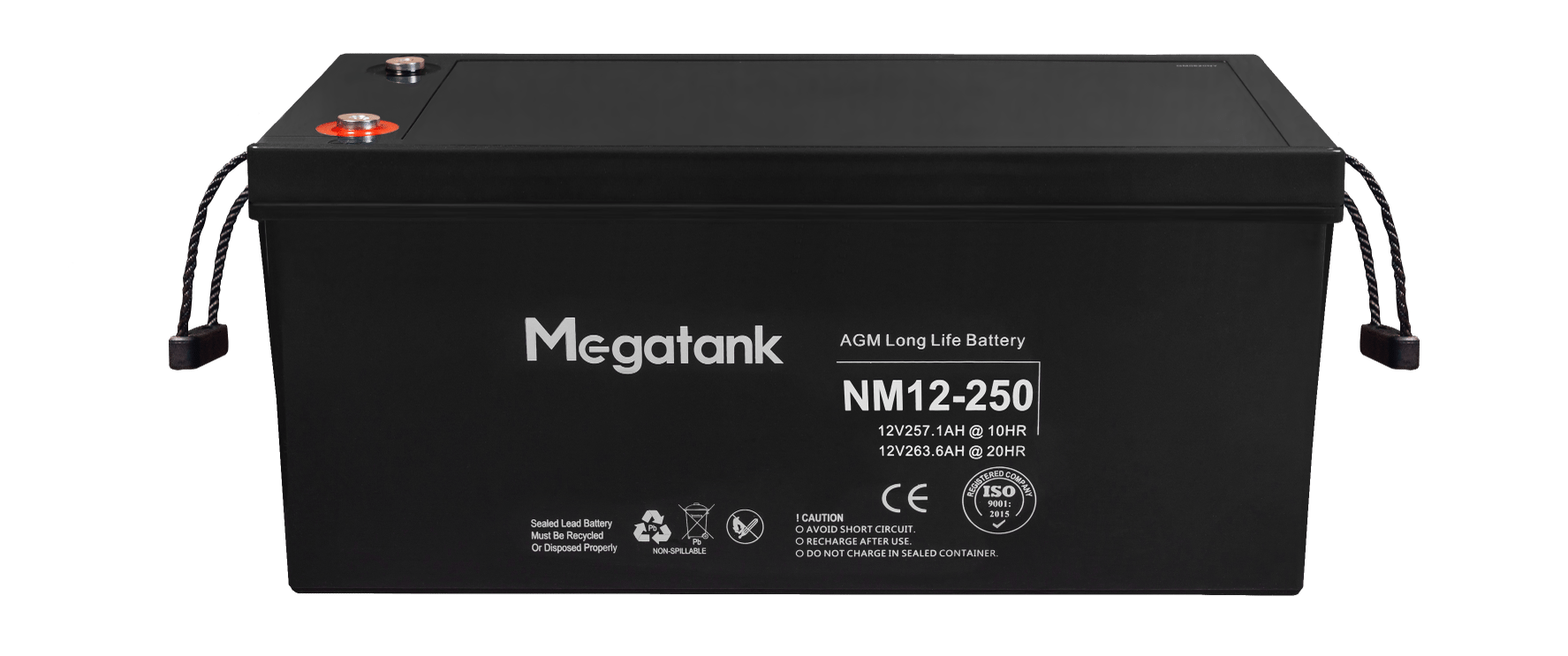 Кислотний акумулятор 12В 250А*год (3000 Вт*год) для UPS / ДБЖ, батарея AGM Megatank 12V 250Ah